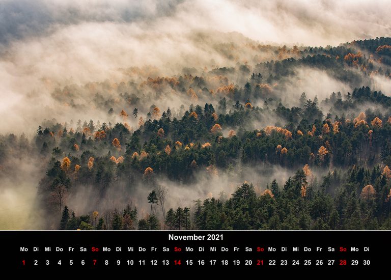11.November